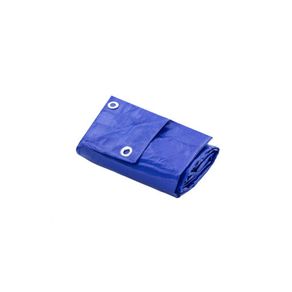 LONA-POLIETILENO-AZUL-2-X-2M---THOMPSON